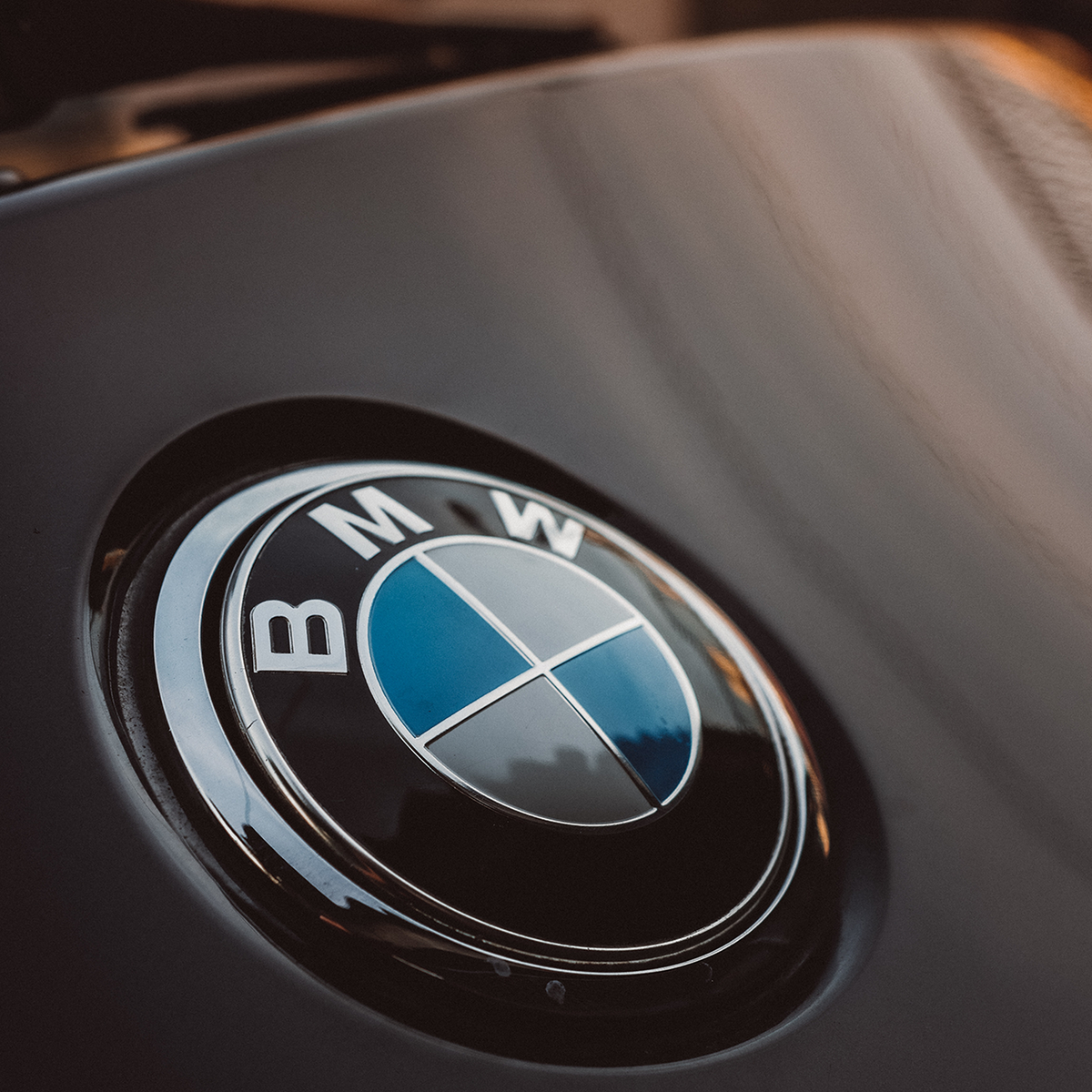 BMW Bag logo Blå & Hvid 70mm