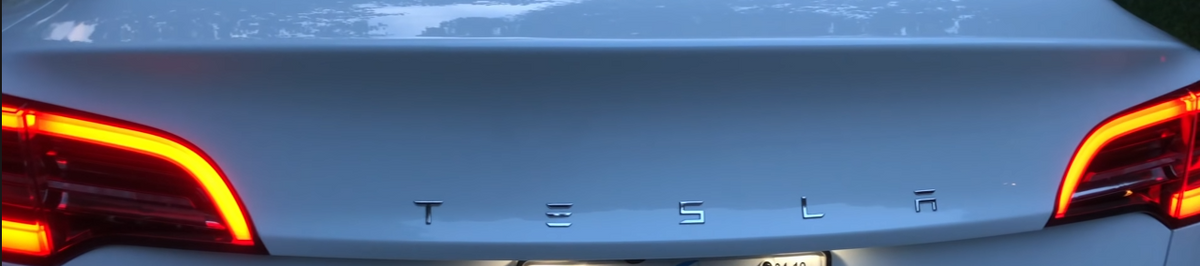 Chrome TESLA Bag Logo Badge